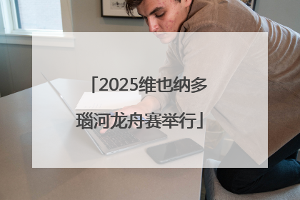 2025维也纳多瑙河龙舟赛举行