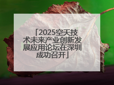 2025空天技术未来产业创新发展应用论坛在深圳成功召开