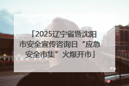 2025辽宁省暨沈阳市安全宣传咨询日“应急安全市集”火爆开市