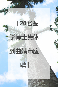 20名医学博士集体到曲靖市应聘