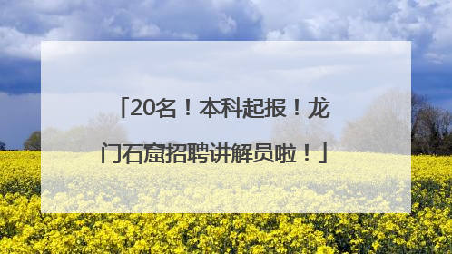 20名！本科起报！龙门石窟招聘讲解员啦！