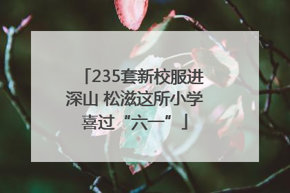 235套新校服进深山 松滋这所小学喜过“六一”