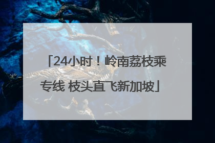 24小时！岭南荔枝乘专线 枝头直飞新加坡