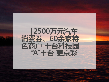 2500万元汽车消费券、60余家特色商户 丰台科技园“AI丰台 更京彩”未来玩家市集活动正式开幕