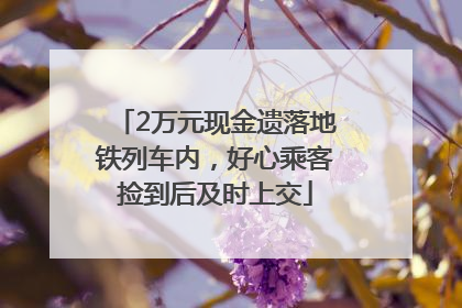2万元现金遗落地铁列车内，好心乘客捡到后及时上交