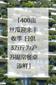 400亩丝瓜迎来丰收季 日供3万斤为沪苏锡常餐桌添鲜