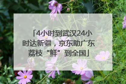 4小时到武汉24小时达新疆，京东助广东荔枝“鲜”到全国