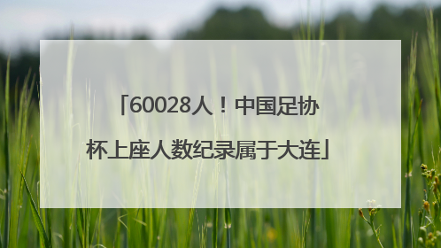 60028人！中国足协杯上座人数纪录属于大连
