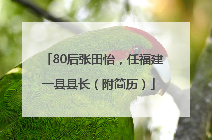 80后张田怡，任福建一县县长（附简历）