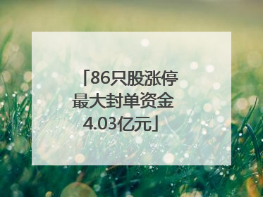 86只股涨停 最大封单资金4.03亿元