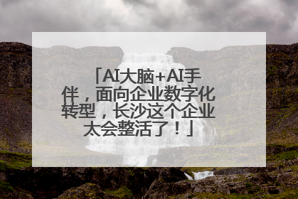AI大脑+AI手伴，面向企业数字化转型，长沙这个企业太会整活了！