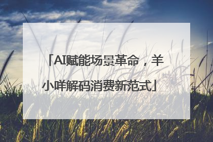 AI赋能场景革命，羊小咩解码消费新范式