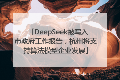 DeepSeek被写入市政府工作报告，杭州将支持算法模型企业发展