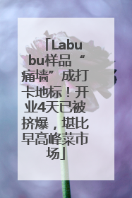 Labubu样品“痛墙”成打卡地标！开业4天已被挤爆，堪比早高峰菜市场